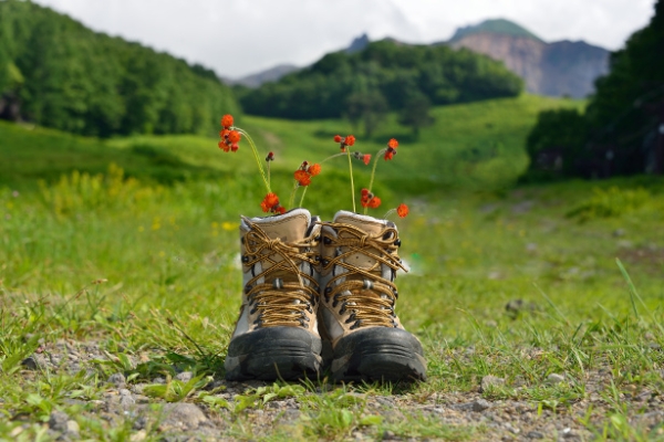 Biodiversità Valli di Lanzo - Ecoturismo Turismo rispettoso di persone e luoghi.